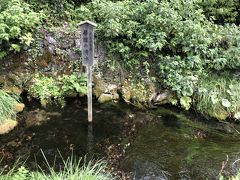 名水は、神社脇の石垣から湧いていました。