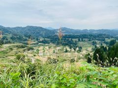 食後は星峠の棚田に行ってみました。
結構遠かったですが、景色は素晴らしい。
ちなみにここ、駐車場もあります。