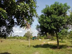 どんだけ歩くのかと思いましたが、橋を渡り終えたところから墓らしきものが見えました。