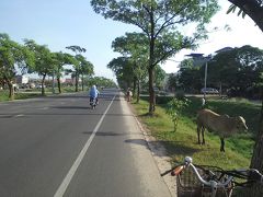 そしてアプサラロードを左折。
シェムリで一番自転車にやさしい道かも…。