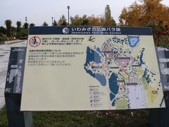 バラの花季は初夏に第１段が、そして盛夏は休み、秋に第２段と言われているのですが、さすがにもうこの時季は無理だと思っていました。でも、もしやと思い、同じ市内のいわみざわ公園バラ園に立ち寄ってみました。