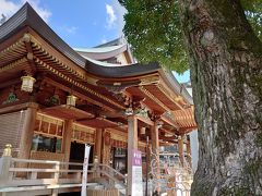 本殿

空が青くて素敵な雰囲気になりました