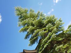 美瑛市街にある美瑛神社へ。
境内は広く、静かで、参拝者も少なく、夏は素晴らしい青空の下で良い雰囲気です。
