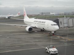 
本日の飛行機

本来はもっと大きい機体らしいが変更との事

長崎までは１時間半の空の旅