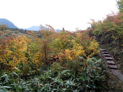 紅葉がきれいです。

と思って写真を撮っていたら、ポツポツと雨が降ってきました。
それでも先に進んでいたのですが、やがてザーザーになってきました。

ちょっとした木陰で雨宿りしながら、持ってきたパンやおにぎりを食べていましたが、