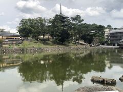 猿沢池～興福寺の中を抜けて駐車場に戻りました。