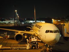 羽田空港 第1旅客ターミナル