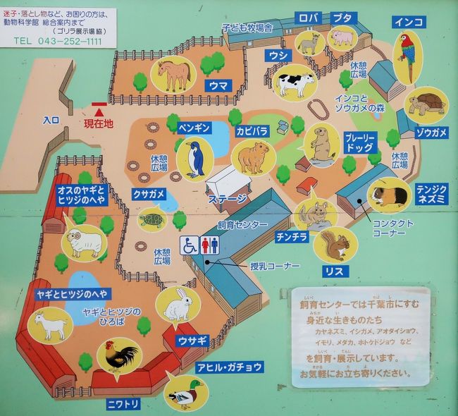 千葉市動物公園-2 子ども動物園 ウマ・ブタ・インコ・カピパラ・・☆ケープペンギン;アフリカ南部に
