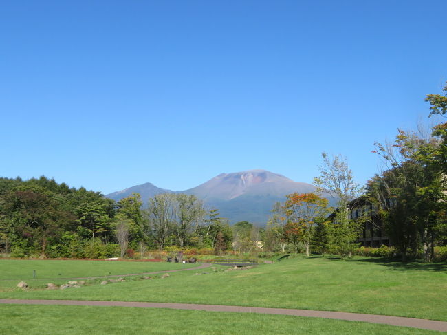 松茸目当てに軽井沢へ 軽井沢 長野県 の旅行記 ブログ By マダムkさん フォートラベル 松茸目当てに軽井沢へ 軽井沢 長野県 の旅行記 ブログ By マダムkさん フォートラベル