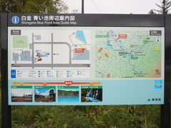 とみたメロンハウスから車で30分。
美瑛にある【青い池】にやってきました！

駐車場が整備されてからは初めて☆
実に5年ぶり位？

駐車場代500円でした。

青い池手前にある道の駅「白金ビルケ」の駐車場は無料なので
そこから歩くことも可能。片道30分かかるけど。