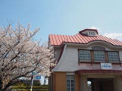 田園調布駅周辺の桜巡りをしました。