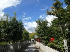 天龍寺そばの豆腐料理屋で昼食をとってから、嵐電沿いを散歩気分で車折神社まで歩く。青空が戻ってくると夏の勢いが一気にぶり返してくるよう。