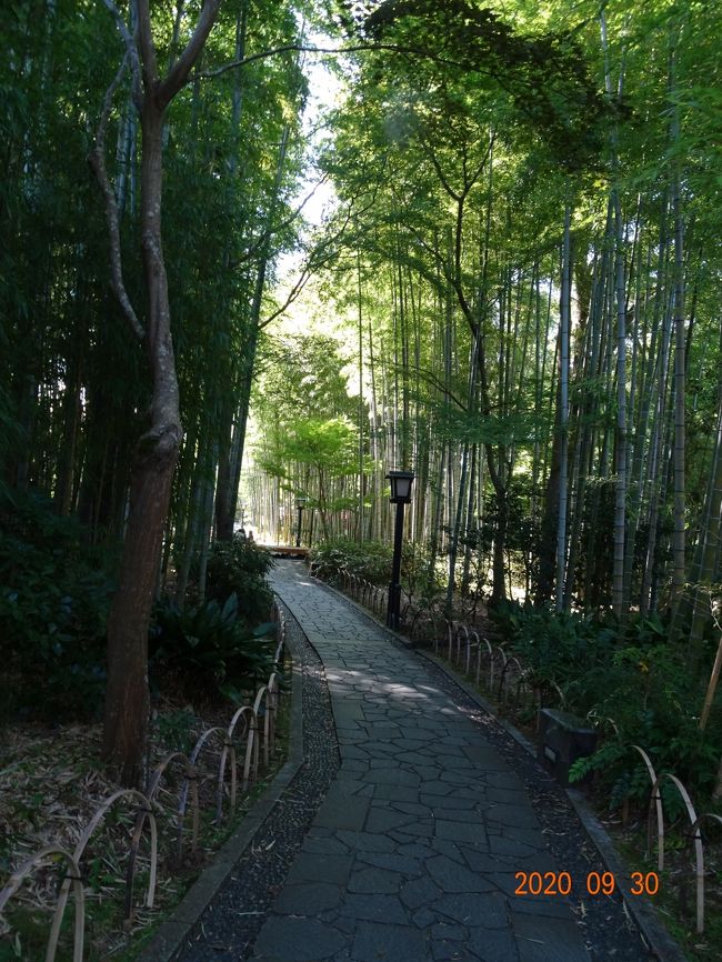 とても涼しいです。<br /><br />夏には最高。秋も素敵、夜はライトアップされます。