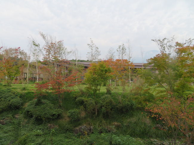 松茸目当てに軽井沢へ 軽井沢 長野県 の旅行記 ブログ By マダムkさん フォートラベル 松茸目当てに軽井沢へ 軽井沢 長野県 の旅行記 ブログ By マダムkさん フォートラベル
