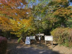 往路は西那須野塩原インターまで東北道で移動。そこから下道に入るとなんと途中から大渋滞！