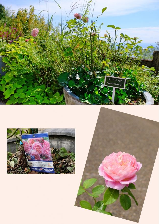 北川村の モネの庭 に続いて 近場でクロード モネの作品を鑑賞 八瀬 大原 貴船 鞍馬 京都 の旅行記 ブログ By Akikoさん フォートラベル