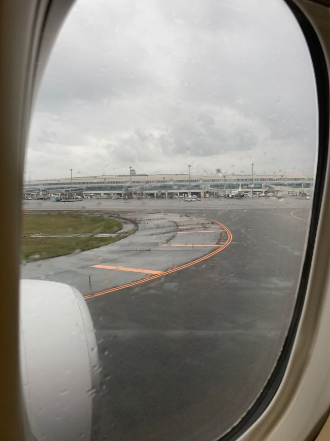 あっという間に新千歳空港に到着・・・北海道は近いですよね。。。寝足りなくて眠い(-_-)zzz<br /><br />さっそくレンタカーの手続きへ。<br />ちょっと急いでいた＆強めの雨が降ってきてしまったので、写真は省略。。。
