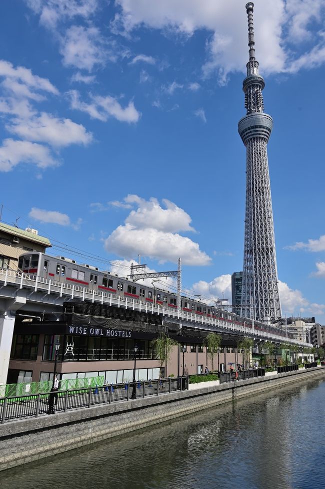 ぷらっと東京さんぽ Scene 3 高さ450メートルの天空散歩 東京スカイツリーへ 浅草 東京 の旅行記 ブログ By 葵さん フォートラベル