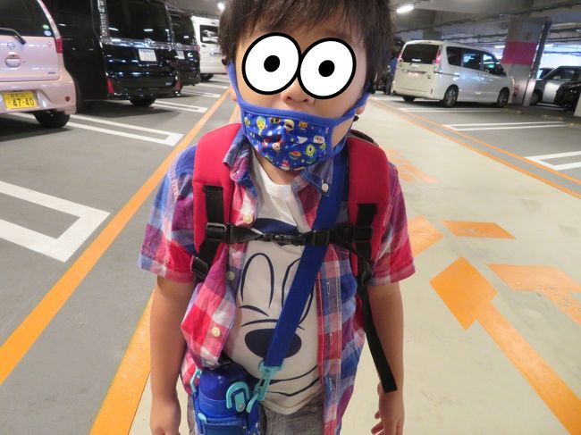 全然gotoじゃないディズニーランド 東京ディズニーリゾート 千葉県 の旅行記 ブログ By Rommyさん フォートラベル