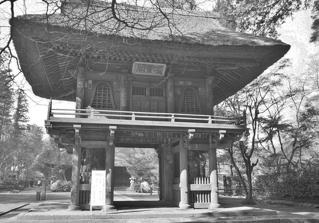 平林寺の山門　　凌雲閣<br /><br />築350年の風格を湛える平林寺のシンボルです。江戸時代前期、平林寺が岩槻から移転された際に、現在の地に移築されました。<br /> 県指定有形文化財（建造物）<br /><br />野火止平林寺公式サイト<br />http://www.heirinji.or.jp/about/<br />http://www.heirinji.or.jp/about/keidai.html