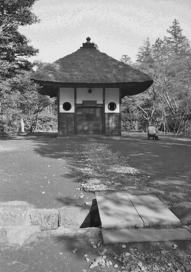 戴渓堂（たいけいどう）<br /><br />日本に書法・篆刻を伝えた独立性易（どくりゅうしょうえき）禅師を祀ります。独立禅師は、隠元隆琦（いんげんりゅうき）禅師と共に第４代将軍徳川家綱謁見のため、長崎から江戸に随行。その際、当時の老中松平信綱は独立禅師を厚遇しました。<br />http://www.heirinji.or.jp/about/keidai.html