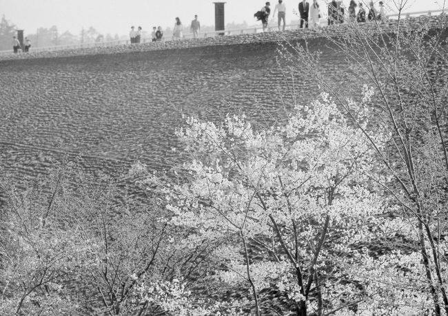 狭山湖堰堤（えんてい）