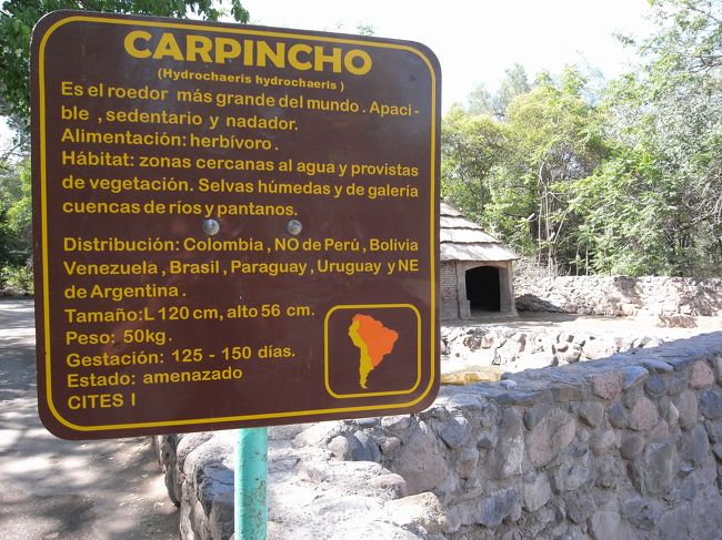 初めて知ったカルピンチョ。