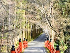 決して大きな院ではないですが、まだまだ時間をすごしても飽きないでしょうがそろそろ移動しましょう。
3月上旬の京都はまだちょっと肌寒いけど、この日は日差しも多くちょっとした散歩にもちょうどいい気温。