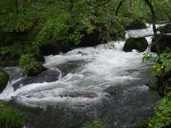 阿修羅の流れ

雨が降っていましたが、荒々しい流れと、美しい苔を見ることが出来ました。



