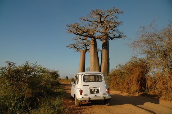 いよいよバオバブの木が自生している地域に到着。白いボロフィアットはチャーターしたタクシー。