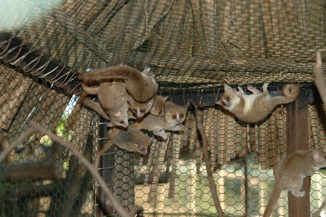 メナベ公園にて。