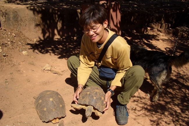 親戚の家ではホシガメが飼われていました。