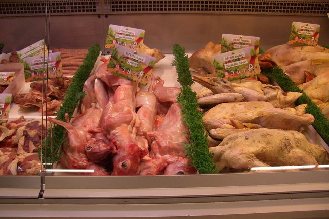 ウサギが売っていたので買うことにした。