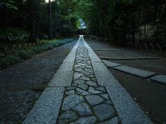 参道が美しい寿福寺へ
ご挨拶代わりに参道をパチリ
