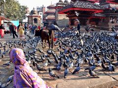 ダルバール広場入口、ジャガナート寺院前にはいつも鳩の群れが。

＜ジャガナート寺院前 鳩の群れ＞
https://www.youtube.com/watch?v=lQu20uKMD6w