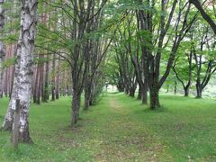 白樺の木々が植わっていて、その中を歩き思い切り空気を吸い込むと、透き通ってどこか植物の甘い匂いが混じった空気が五臓六腑に染み渡ります…

https://youtu.be/TBi-JCe2vjs