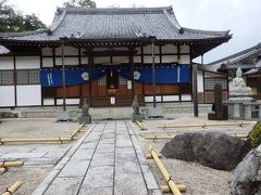 ダンナさんは一人で歩き 天龍寺と