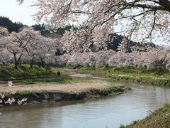 夏井の千本桜