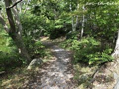 こちらのコースの遊歩道は、道幅が狭く、時々木の根等もあるので、歩きやすい靴がおすすめです。
木陰の中を歩くので、暑さも苦になりませんでした(^^♪。