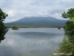 この日、見えそうで見えなかった駒ケ岳の頂上。
雲が動いてくれないかなぁ～と眺めていたら、目の前の湖面に何やら動くものが・・・。よく見ると、鴨ちゃんの行列でした(*^^*)。