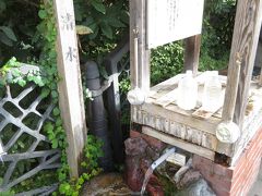 井戸のすぐ近くの交差点脇には、「賢治清水」と命名された清水が流れている。井戸の水脈を10m程ボーリングしているそうで、自然に湧き出てきたものではないようだ。地元の人が水汲みに来ており、私もここで水を汲むために持参したペットボトルに水を満たした。