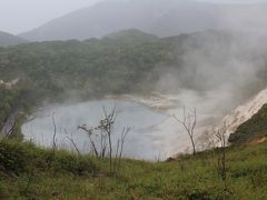 登別では天気が悪かったので、ほとんど観光せずでした。
地獄谷で夜のライトアップがあるとは知っていたけれど、チェックイン時刻が１９時近くなってしまい、夕食を食べ、温泉に入ると、出掛ける気も起きずでした。
天気がいまひとつで寒かったですし。

翌朝も雨模様だったため、倶多楽湖をちらっとみた程度でした。
でも、霧がひどかったです。

展望台から見た倶多楽湖

結局、翌年に登別にまた行ったので、そのときに観光しました。
３０年ほど前にもすでに登別には行っていて、そのときはクマ牧場など行きました。