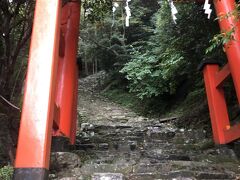 【神倉神社】
現山の中腹に鎮座し、熊野三山に祀られる熊野権現が初めて地上に降臨した伝承をもつ古社。天ノ磐盾（あまのいわたて）という険しい崖の上にあり、熊野古道の一部である五百数十段の急峻な石段を登ったところにご神体のゴトビキ岩があります。そこから眺める市街地と熊野灘の遥々とした眺めは、新宮市随一のビュースポット