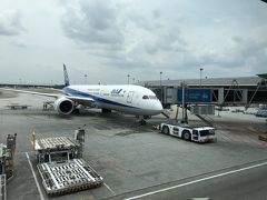 飛行機での移動