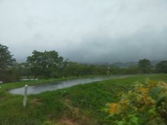 あいにくの雨のため全然うまく写真が撮れない。。。