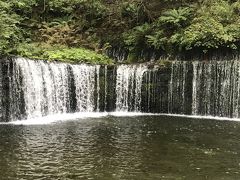 軽井沢初心者として、定番は行っておきましょう。

てな事で、まずは白糸の滝。
とても優雅な滝。