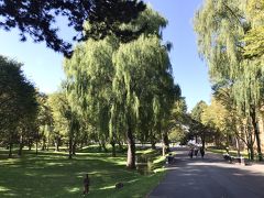 サクシュコトニ川

秋晴れの空の下、草の上に座って食べるってのも悪くない。でもオヤジが一人で弁当食ってるのも、さらし者になる様な気分だ。ダメだ、橋を渡ってほかを探そう。