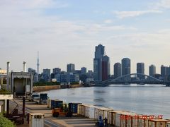 時間があるので朝の都内の景色でも・・・
左にスカイツリー、中央に聖路加タワーや勝鬨橋が見えます。