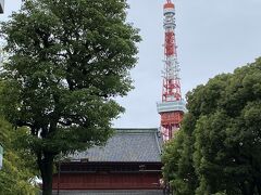 お上りさんにとっては、東京タワーはすごくかっこよく見える。