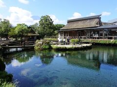 国の天然記念物に指定された８つの湧水池があり
総称で忍野八海と呼ばれています

神聖で尊いものとして
池ではなく「海」と付けられたそうです

それぞれの池のそばにある石碑には
和歌と共に守護神の八大竜王の名前が刻まれています